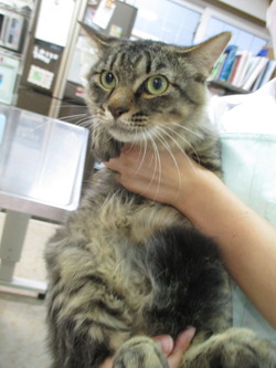 2014_0917_173752-IMG_0010