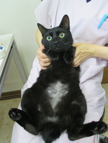 2018_0505_111034-IMG_0012