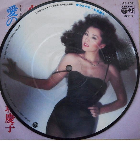 松坂慶子の愛の水中花～♪（資料編） ♪オーディオと海外ドラマそして時々♪
