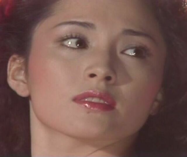 松坂慶子の愛の水中花 資料編 オーディオと海外ドラマそして時々猫