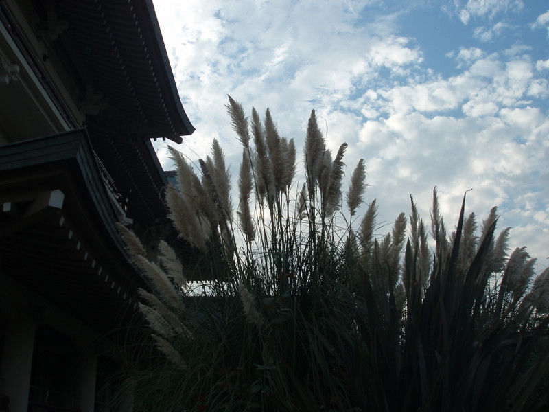 Pa100707_2 Pa100707_2