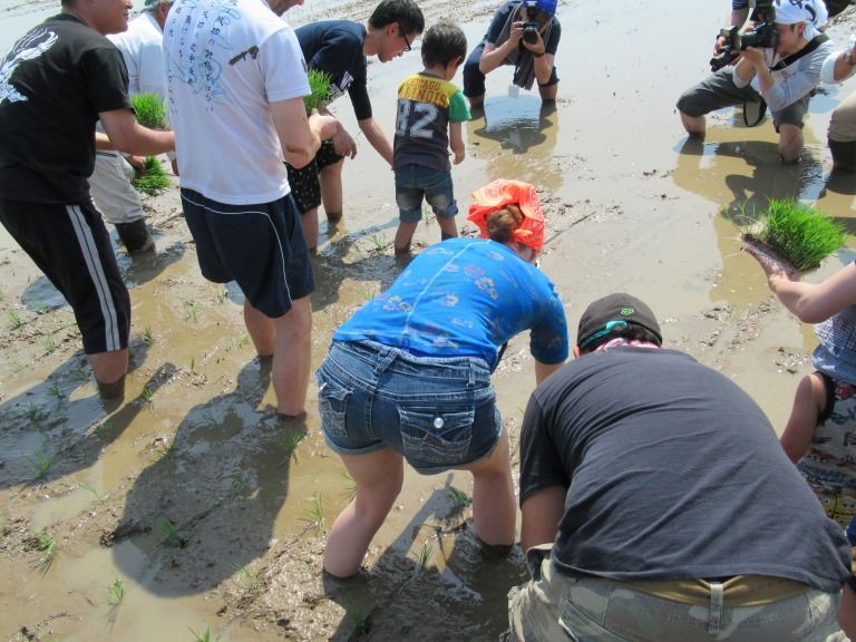Attended the rice planting event!!! : Fukushima Local Activities By ...