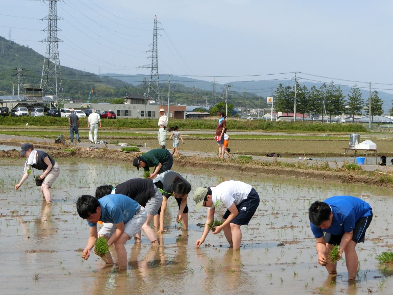 Rice planting event in 2018 : Fukushima Local Activities By Children ...
