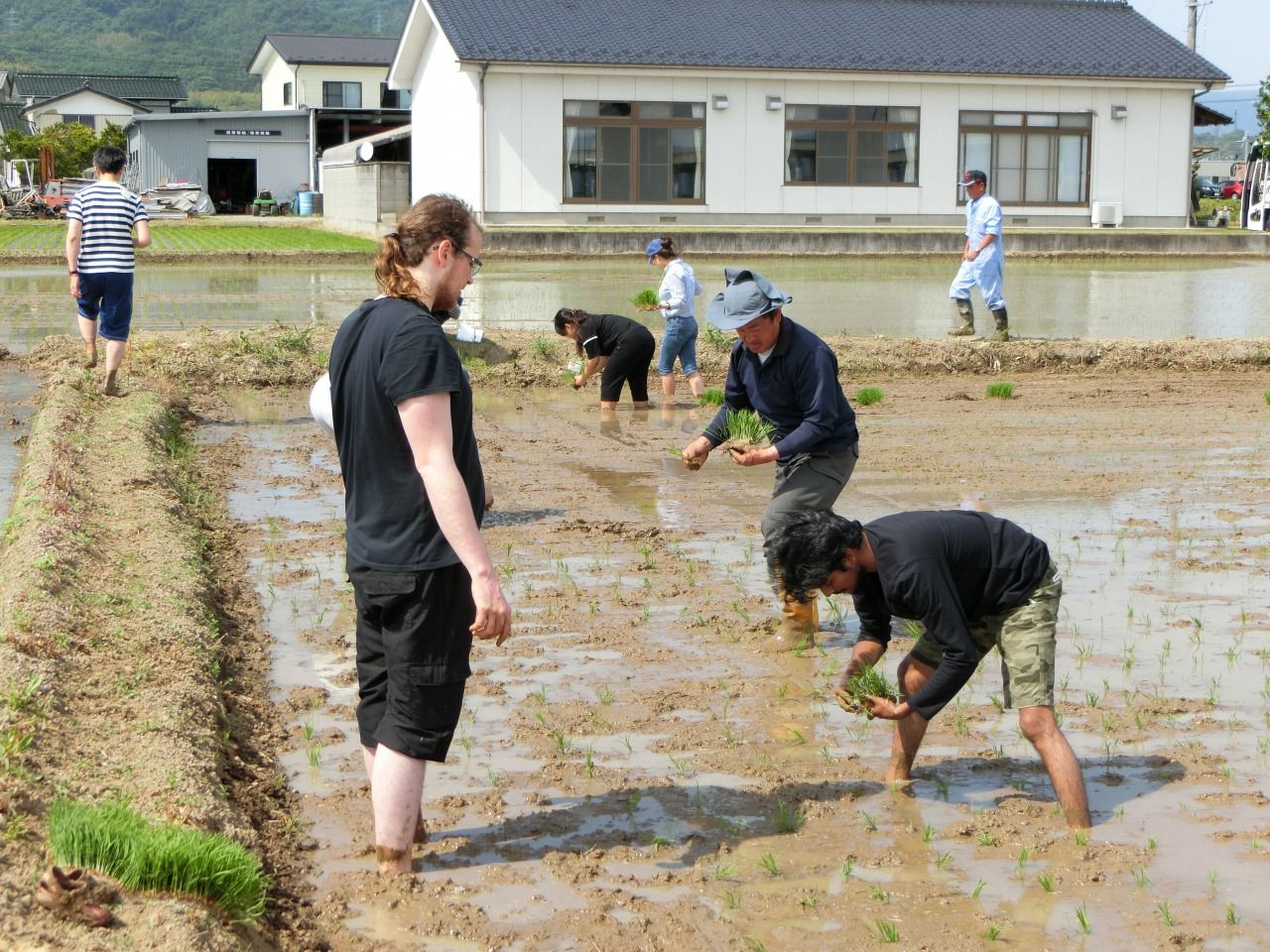 Rice planting event in 2018 : Fukushima Local Activities By Children ...