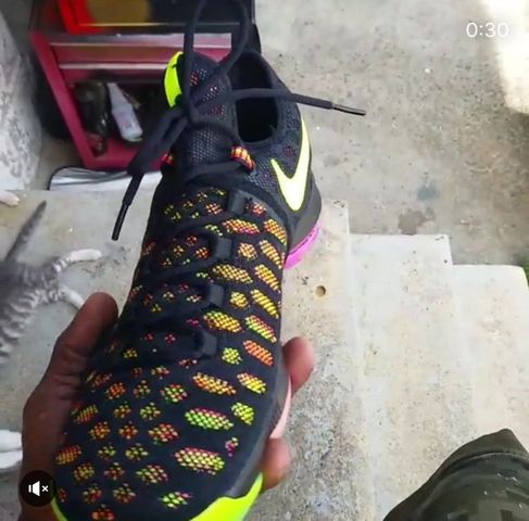 kd 9 multicolor