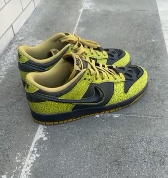 dunk2