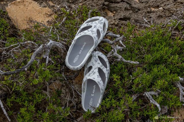 59148-148-5a2c4e52545712ada257b7f6a9dceaa3-3900x2600