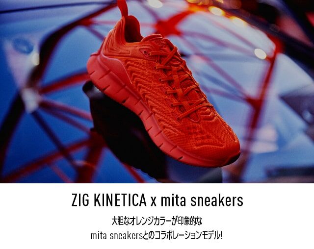 new_NL_MITA_ZIG_2003