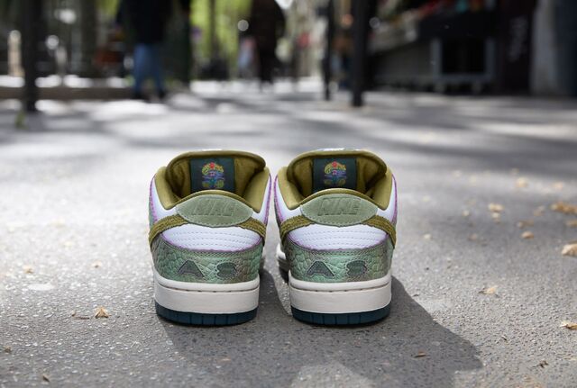 nikesb footwear 2