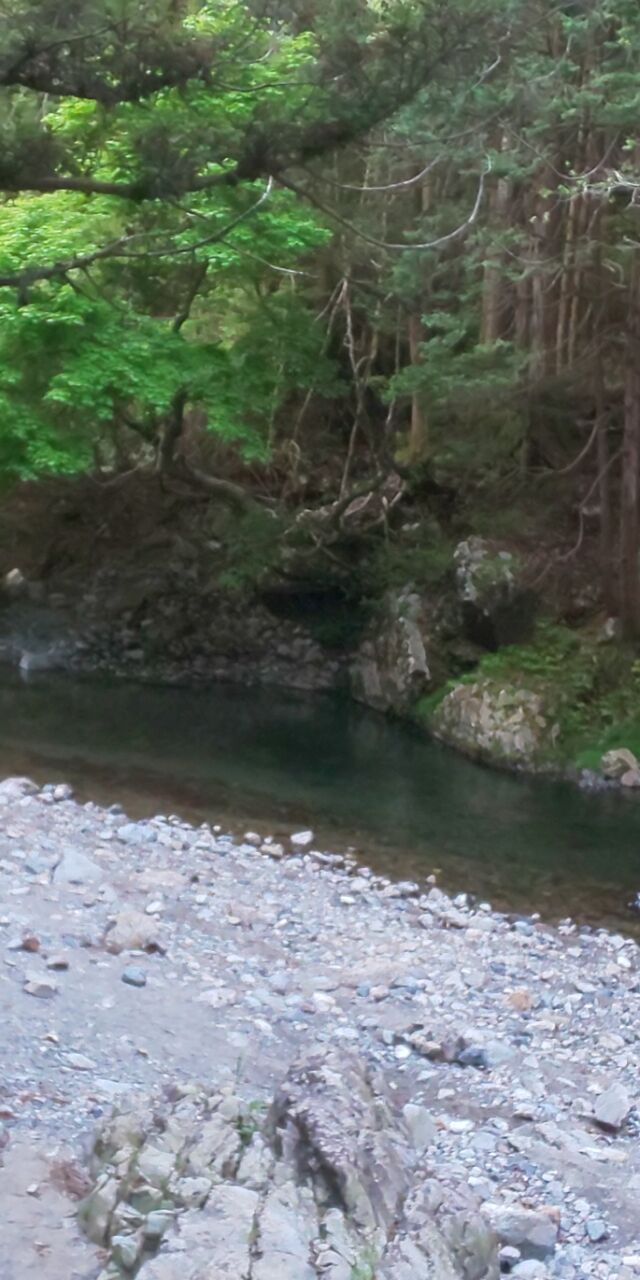 渓流14 黒川 三流釣り師 いっぷく釣記