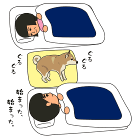 ルーレット 笑う門には福太郎 時々 クロも歩けば棒にあたる