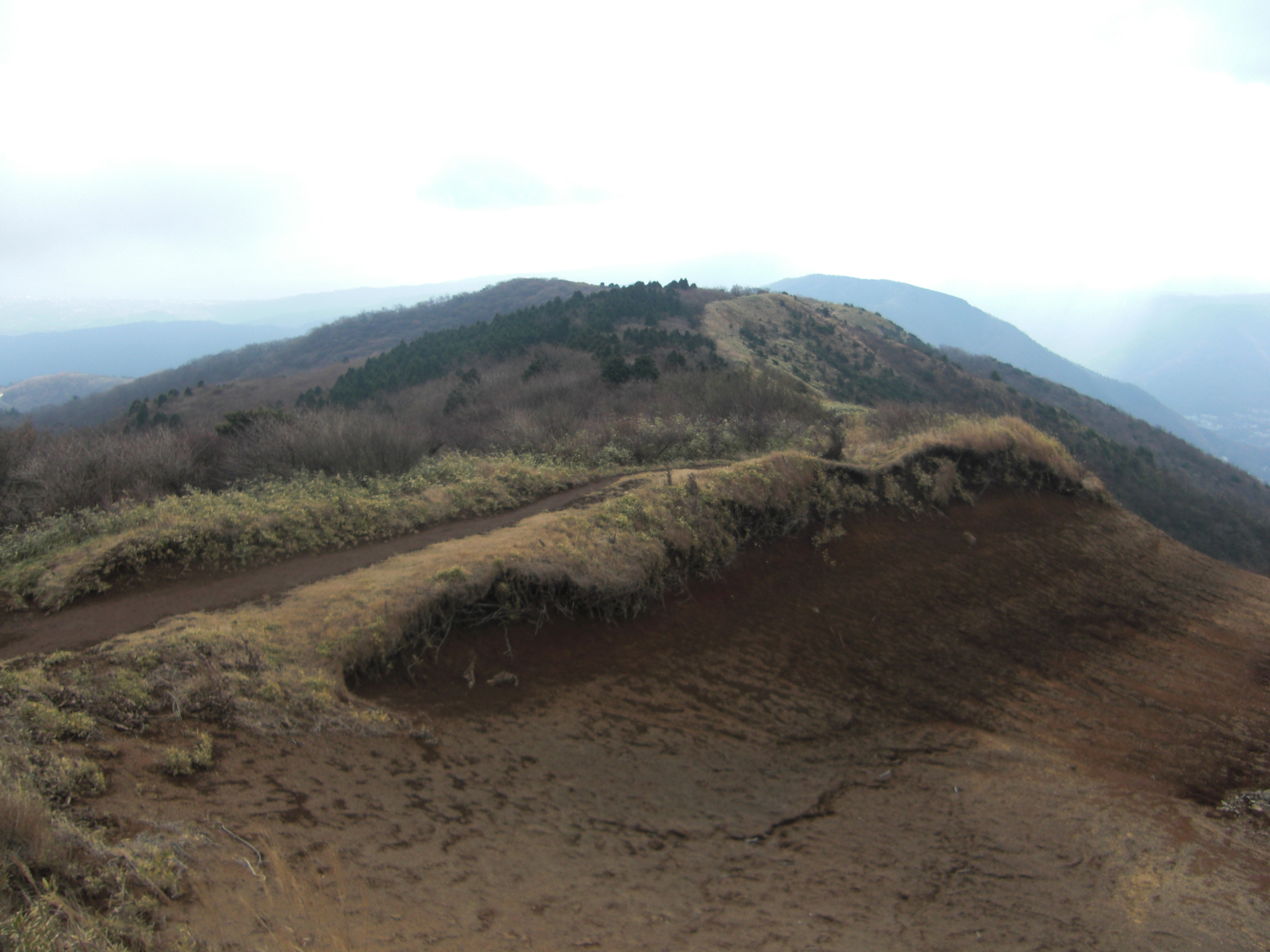 山旅日記 明神ヶ岳(1169m)～明星ヶ岳