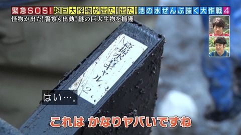 【放送禁止】「池の水ぜんぶ抜く」で出てくる“映せないモノ”ってよｗｗｗｗｗｗ