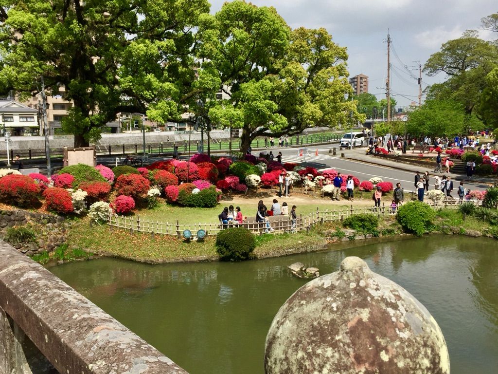 諫早つつじ祭りとガストでランチ ランチの王様 大村湾 諫早つつじ祭りとガストでランチ ランチの王様 大村湾