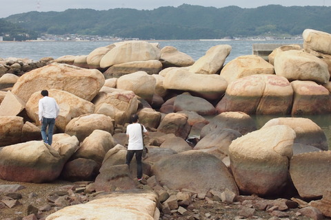 島の石2