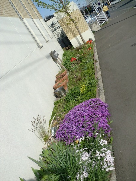 CIMG0769