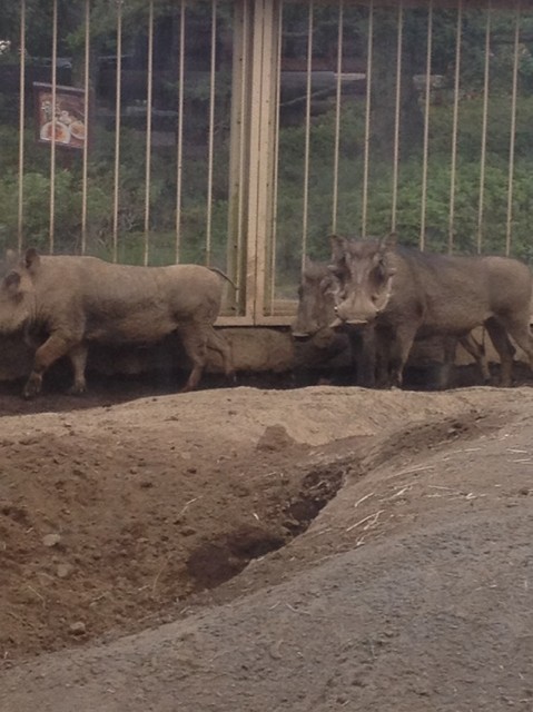 おっことぬしさま Fullmoonさかえ ベース の公式ブログ