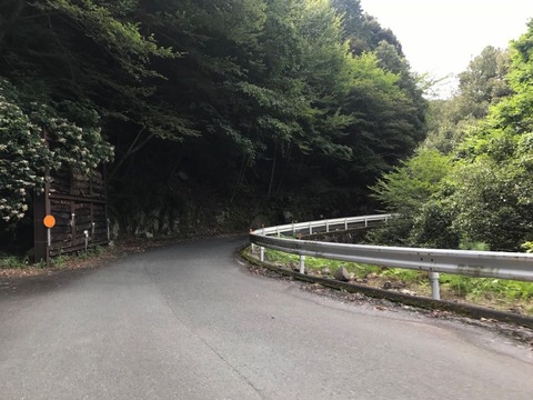 県道1号は佐久間湖・天竜川の右岸をクネクネと遡上
