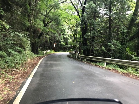 一部路面がウェットなので気をつける
