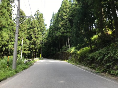 兵越峠の林道も走りやすい道路なので特に気負うことなし