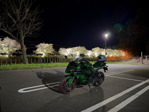桜前線に追いつけ！昼から夜桜ツーリング