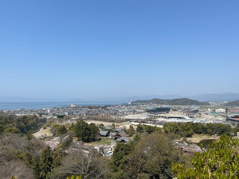 IMG_9950