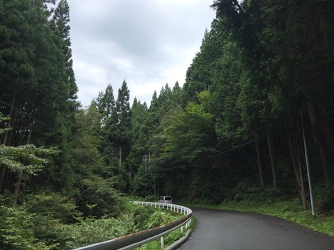 県道426号からは県道74号に乗り換え