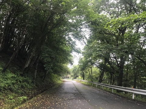 林道荒川線はグレーチングがあぶない