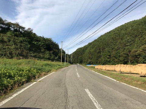 県道254号でさらに西へ