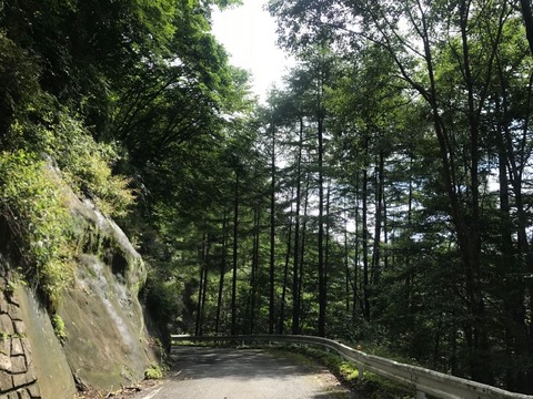 ぶどう峠の東側は要注意