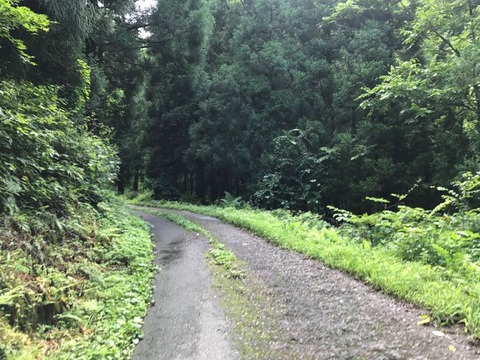 楢峠アプローチのわずか1kmで舗装がぶっこわれ