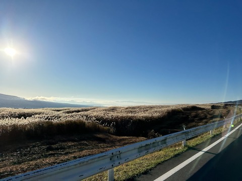 IMG_2367