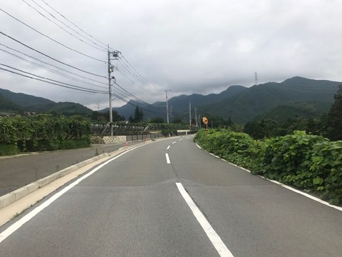 県道219号で進路をそのまま北北西