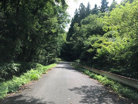 清内路トンネルをくぐったあと、県道8号線へ折れる