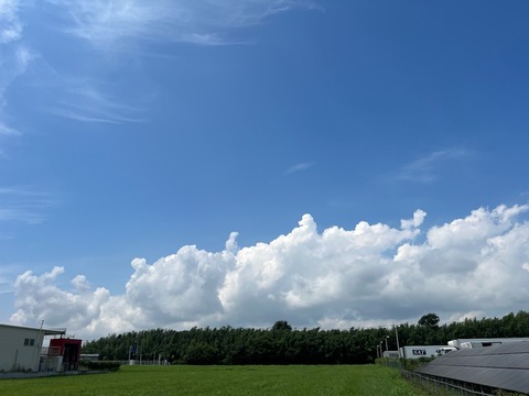 IMG_6907