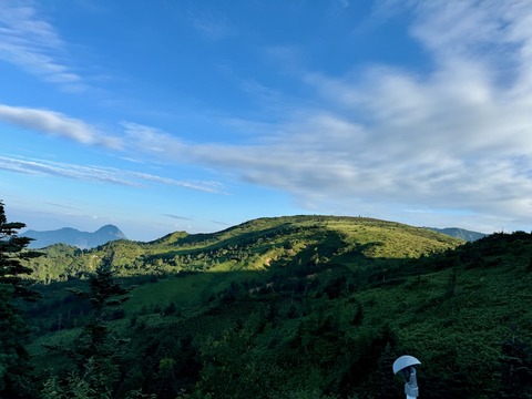 IMG_2299