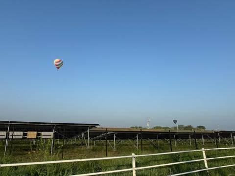 IMG_3231