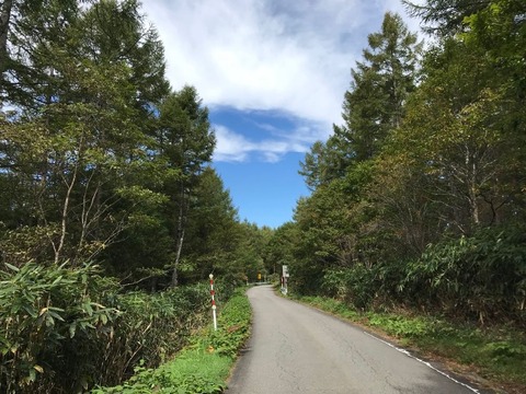 御嶽の登山口から県道441号に乗り換え