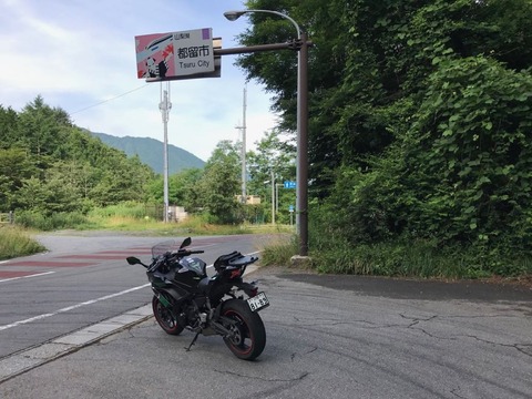 道志渓谷の北側はまったり里道