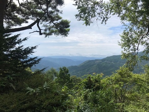 大平峠からの景色はちょうど木の枝が窓のように