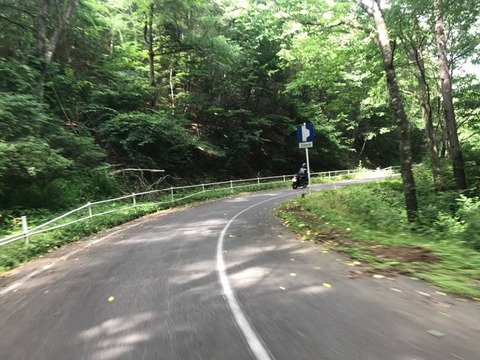 県道482号はアドベンチャー向きの楽しい道