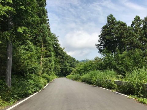 塩沢峠も走りやすい道