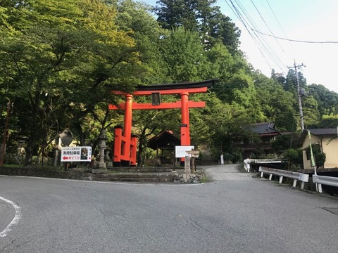 金桜神社の鳥居をかすめてさらに下り