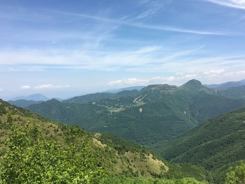 IMG_6314