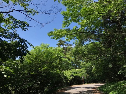 妙義荒船林道、路面は悪いが景色と線形はいい