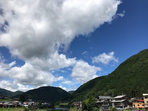 夏の空は眺めているだけで気分が落ち着く
