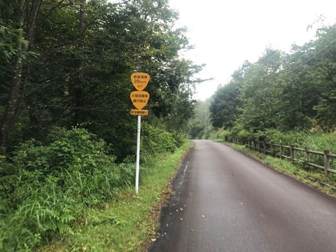 クリスタルラインの安全速度は20km/h