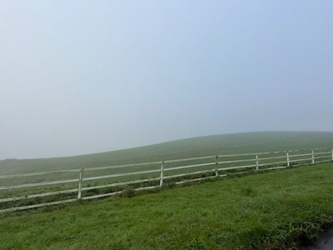 IMG_1399