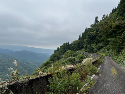 IMG_8793