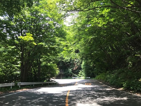 碓氷峠は上りのほうが楽しい